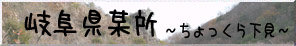 岐阜県某所