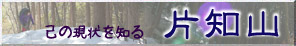 片知山