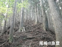 宇連山写真